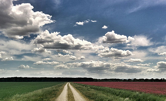 2020羊年寶寶名字大全：女孩篇