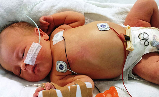 獨(dú)特內(nèi)涵的寶寶名字，新生兒名字大全：文雅吉祥的女孩名字