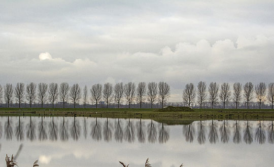 好聽(tīng)的女生英文名字