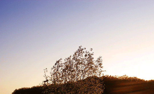 比較好聽(tīng)的英文名字女