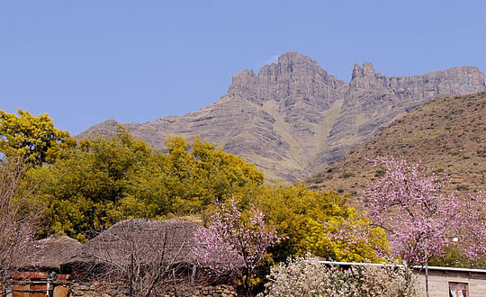 新生兒女寶寶好聽名字精選：獨特經(jīng)典