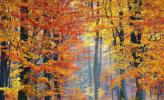 新生兒取名字,給小孩起名字大全