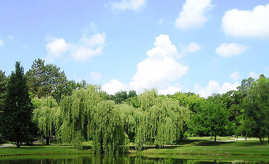 女生好聽的名字,女孩名字大氣文雅：起名方法參考