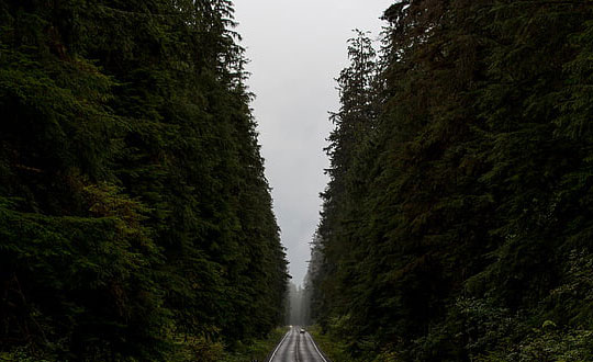 怎樣取名字內(nèi)涵文雅 嬰兒取名字大全免費：起名小技巧