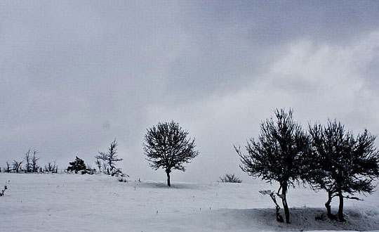 女孩起什么名字最好聽(tīng),儒雅大氣的女孩名字