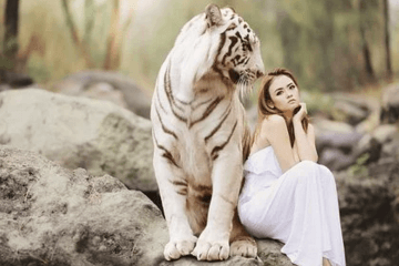 家族名字大全有2個(gè)豎符號(hào)的