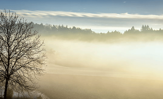 2021年3月出生的寶寶取什么名字好