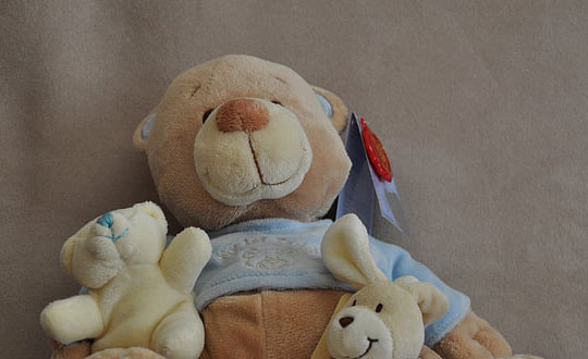 老師起名哪里好