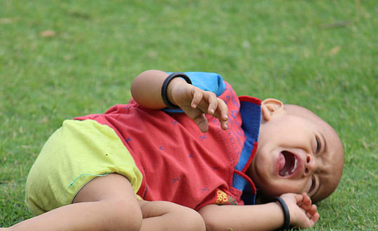 鼠:小米。在迪士尼·皮克斯影片《美食總動員》里,小米是一只夢想成為大廚的老鼠!他憑著智慧、決心和靈敏的嗅覺,終于以驚人的廚藝撼動了整個巴黎美食世界。