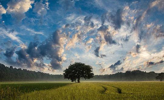 男孩霸氣名字大全 霸氣高貴響亮的男孩名字：源自古詩詞