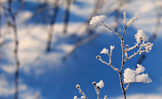 男孩霸氣名字大全 霸氣高貴響亮的男孩名字：內(nèi)涵響亮