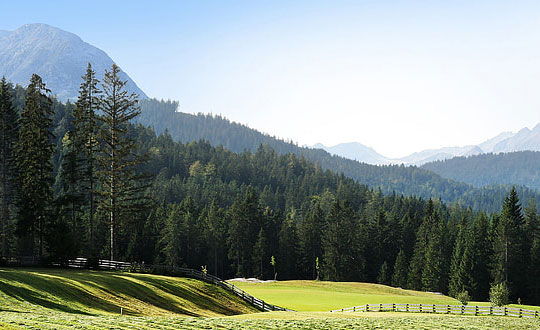 采用古詩為男孩起名字,獨(dú)特新穎有涵養(yǎng)的寶寶名字