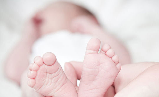 男孩名字詩經(jīng)楚辭,楚辭男孩名字大全集：方法和注意事項(xiàng)