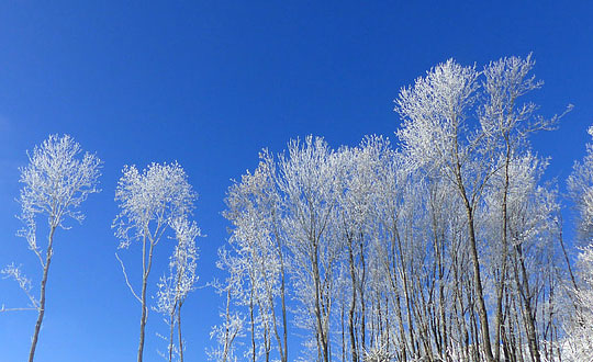 古詩(shī)詞取名字男孩獨(dú)特霸氣有文化