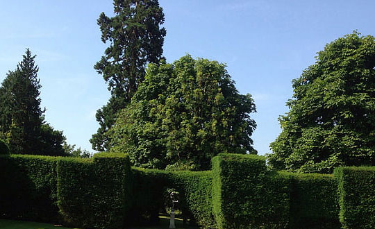 男孩大氣有涵養(yǎng)的名字：起名方法和技巧