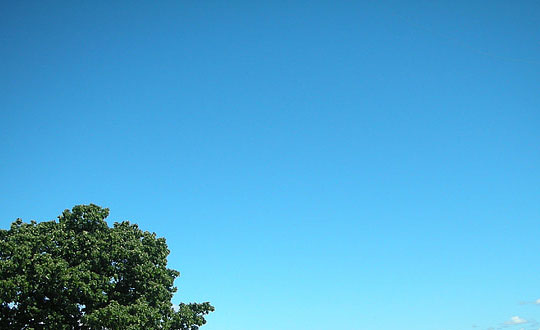 吉祥內(nèi)涵有詩(shī)意的女孩寶寶名字精選：文化高雅