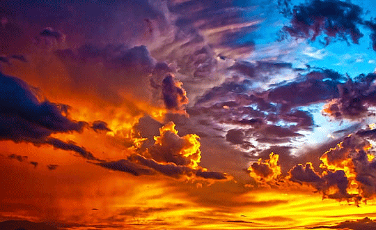 好聽(tīng)的女孩小名屬狗