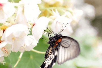 邵姓好聽的名字大全，邵家人趕緊收藏！