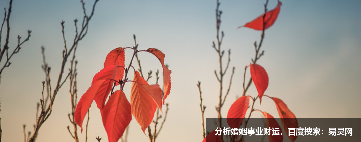 好聽(tīng)比較吸引人的微信網(wǎng)名（昵稱）