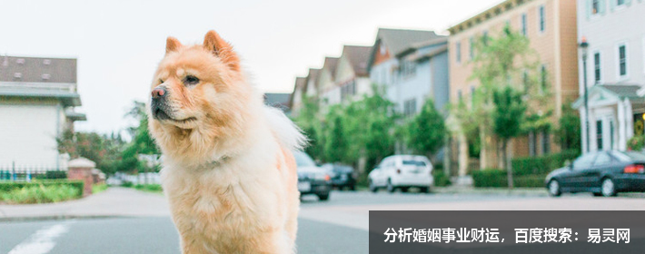 楊姓簡單寓意好的名字有哪些？