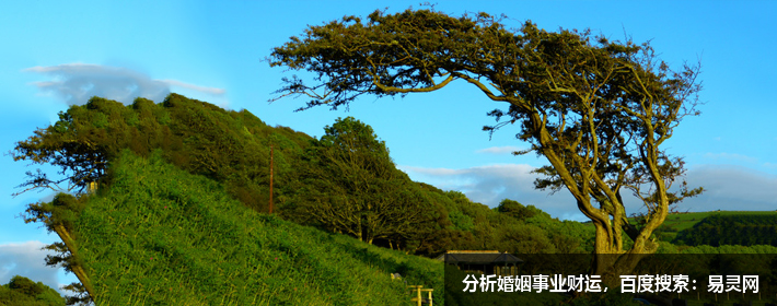 楊姓簡單寓意好的名字有哪些？