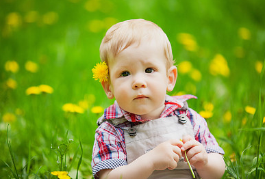 李姓帶木或火字的女孩名，寓意美好，筆畫(huà)吉祥