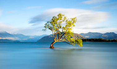 好聽稀少的男孩名字，屬龍的男孩名字大全
