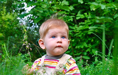 滕王閣序取名男孩，取自滕王閣序中的驚艷男孩名
