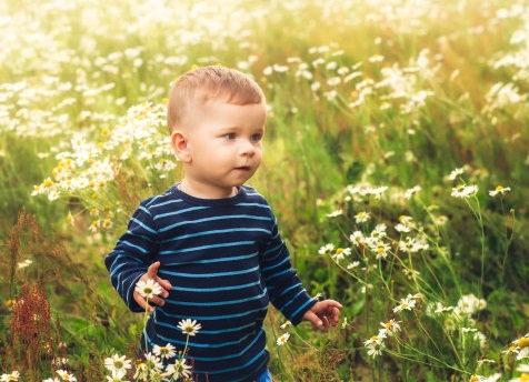 滕王閣序取名男孩，取自滕王閣序中的驚艷男孩名