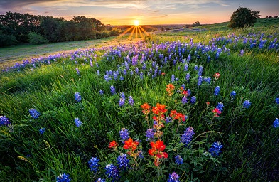 讓人覺得很可愛、很有安全的情侶網(wǎng)名