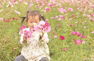 2024龍年命帶富貴的龍寶寶名字，個個好運(yùn)連連！