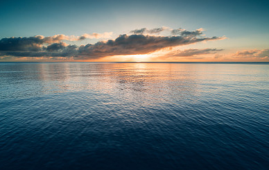 森系小仙女ins女生網(wǎng)名，推薦一些適合女生的ins網(wǎng)名