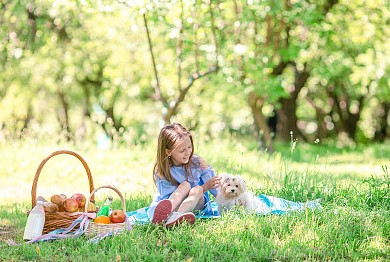 龍寶寶“璟”子福氣兄妹名，龍寶寶跟璟字最配的字