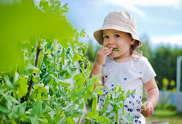 女孩起名丨龍年女寶寶寓意好名字，能有多文藝！