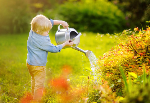 生僻卻美到爆的名字男，24年的龍寶寶高分名字分享
