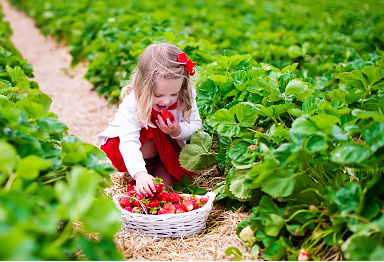 寶寶起名：出自宋詞里驚艷的男孩名、女孩名！