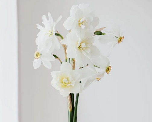 簡(jiǎn)約ins風(fēng)工作室名字有哪些？