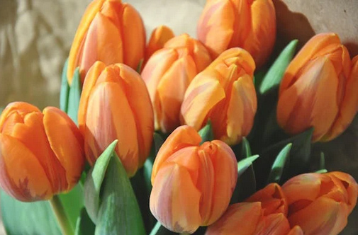 “改個(gè)茶系微信網(wǎng)名” 用茶取網(wǎng)名，高雅爆好聽