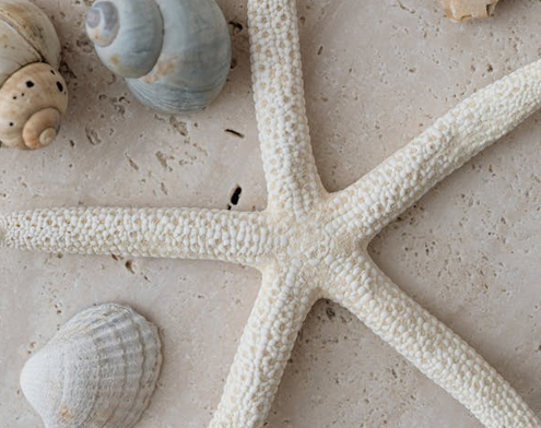 姓羅有氣質(zhì)的男孩名字大全，收藏留著給寶寶起名用