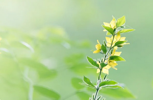 男孩起名，焦姓男孩名字大全洋氣