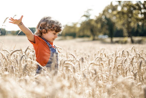 姓焦應(yīng)該取啥名，看看姓焦的大氣溫柔的名字推薦