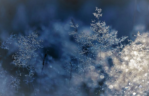 分享6個以竹為名，陽剛到爆的寶寶名字