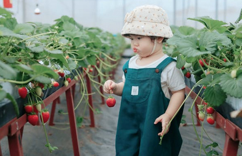 倪姓起名丨倪姓女孩有氣質(zhì)的名字，朗朗上口