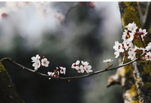 小眾ins風(fēng)英文網(wǎng)名