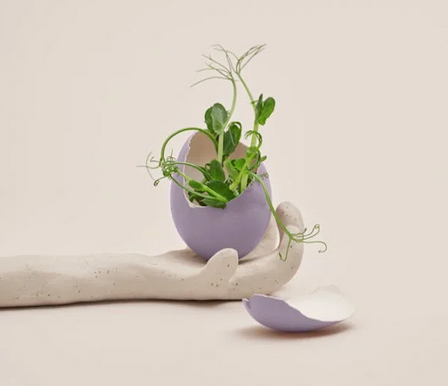 網(wǎng)名 | 簡(jiǎn)單大方的女生網(wǎng)名