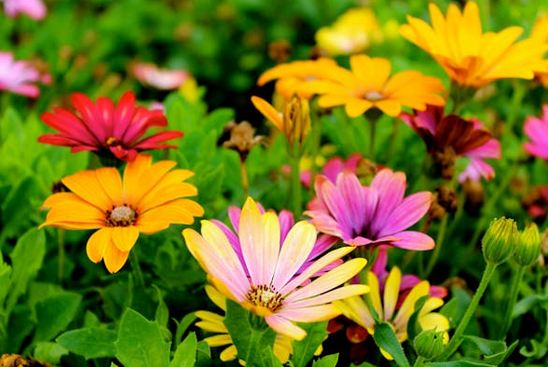 給酒店起名字，好聽的酒店名字和寓意