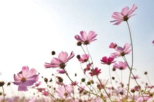 財(cái)運(yùn)旺的微信名水瓶座