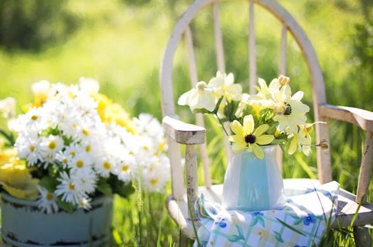 姓邱的女孩名字洋氣點(diǎn)的兩個(gè)字，好聽優(yōu)雅的蛇年女孩名字