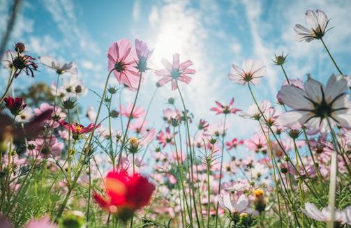 公司取名字，50個(gè)讓人過(guò)目不忘的公司名