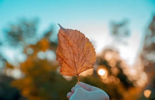 取名字大全：高端創(chuàng)意的健身房名字大全